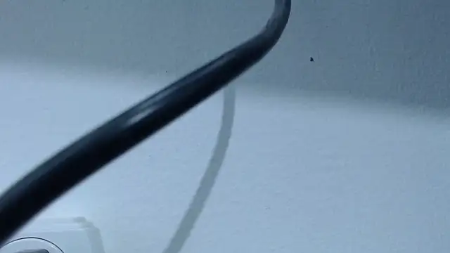 Hanna Fox 69 online show from February 28, 7:37 am