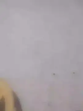 Ramya-Lovely online show from December 1, 6:52 pm