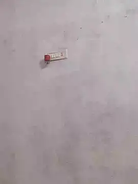 Ramya-Lovely online show from January 3, 5:39 am