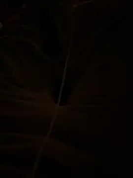 themasteer69 online show from January 17, 8:45 pm