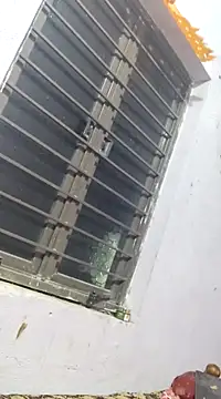 sana14 online show from March 17, 6:00 pm