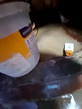 bobbyronak online show from November 11, 8:25 am