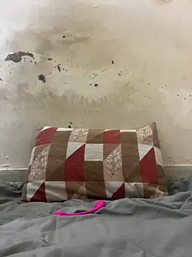 poision51 online show from November 6, 8:59 am