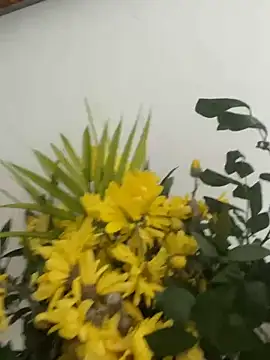 MireyaTorresGu online show from March 4, 2:23 pm