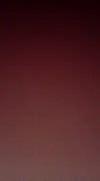 Snapshot of Sexy-Mona2 chatting on December 13, 12:06 pm Sexy-Mona2 online show from December 13, 12:06 pm