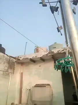 Snapshot of sailord chatting on January 29, 11:30 am sailord online show from January 29, 11:30 am