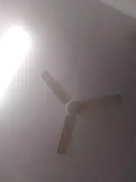 jenilmax online show from December 16, 4:49 pm