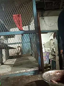 Snapshot of Skinny_Bigass_23 chatting on February 10, 2:59 pm Skinny Bigass 23 online show from February 10, 2:59 pm