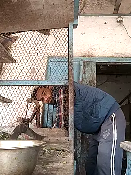 Skinny Bigass 23 online show from December 23, 6:55 am