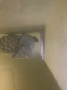 Tommy y Pamela online show from February 17, 3:25 am