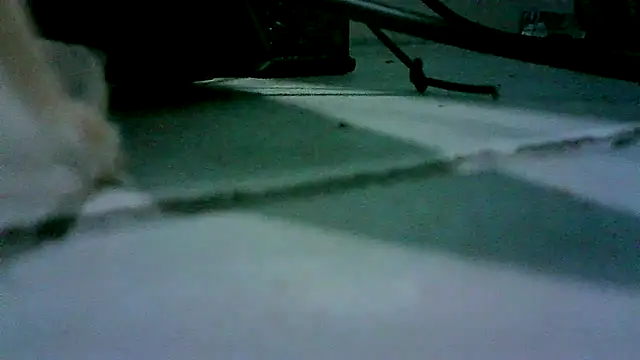 Snapshot of patynalgona chatting on October 18, 11:00 am patynalgona online show from October 18, 11:00 am