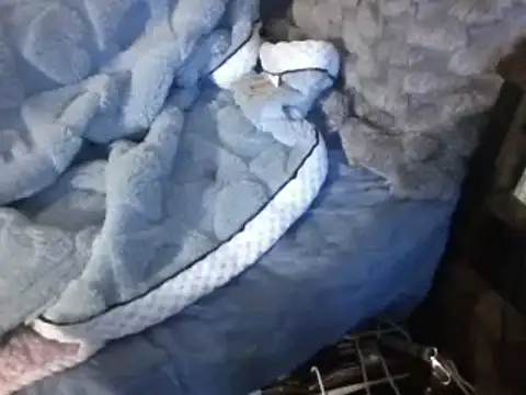 housewife shantie online show from March 7, 6:54 pm