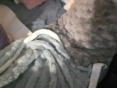 housewife shantie online show from March 15, 8:04 am