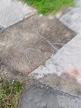 homenbuscalacto online show from January 16, 8:51 am