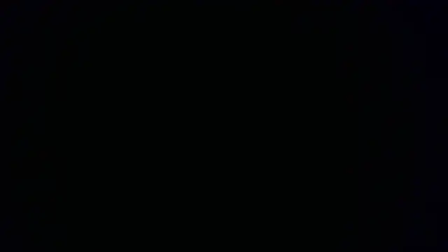 Snapshot of W_N_G_S chatting on October 15, 8:20 pm W N G S online show from October 15, 8:20 pm