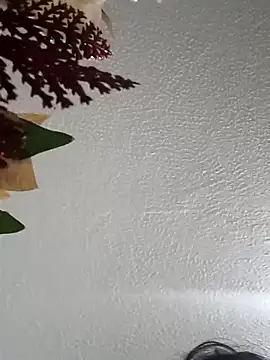 Naomy veracruz  online show from February 11, 10:09 am