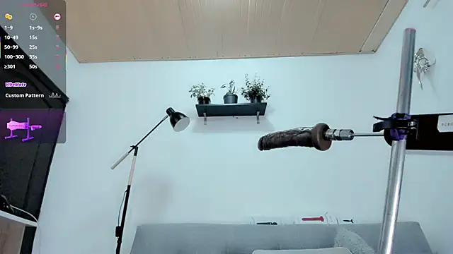 joe jhon online show from February 4, 10:00 am