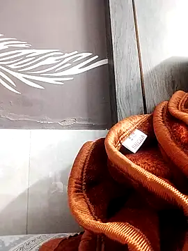 shalini fire online show from November 5, 5:35 pm