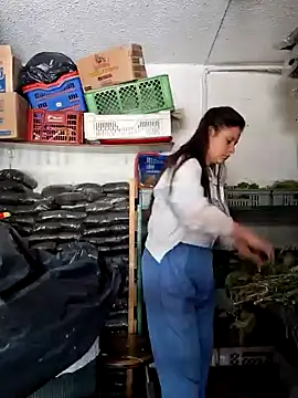 nidia2026 online show from February 3, 6:17 pm