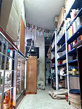 nidia2026 online show from March 1, 6:32 pm