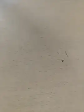 Snapshot of shale26 chatting on September 28, 7:36 am shale26 online show from September 28, 7:36 am