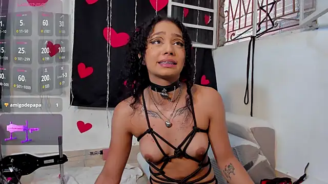 Dakota M1 online show from February 8, 8:10 pm