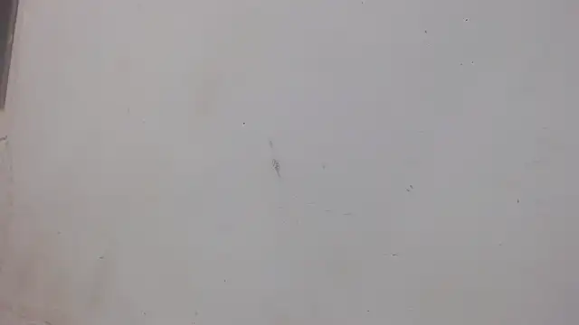 danilo302209 online show from February 1, 1:02 am