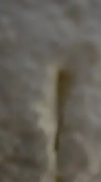 Snapshot of tuty_Tap chatting on December 7, 5:31 pm tuty Tap online show from December 7, 5:31 pm