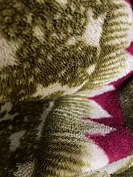 Snapshot of United3 chatting on December 19, 10:00 am United3 online show from December 19, 10:00 am