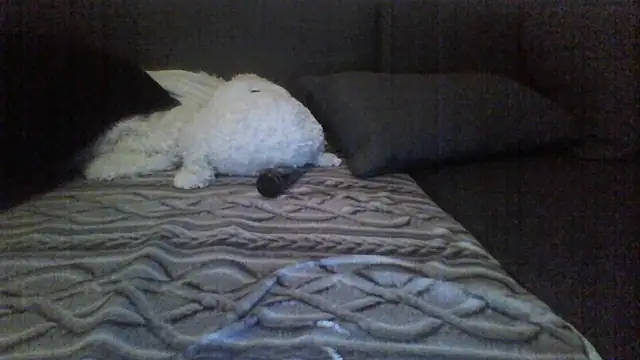 Avamereandmikel online show from July 22, 10:56 pm