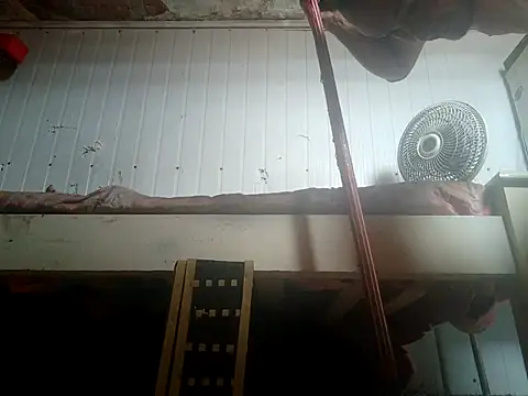 Snapshot of frotasso chatting on February 14, 2:25 pm frotasso online show from February 14, 2:25 pm