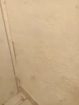 Snapshot of FlacoRiaton chatting on February 10, 8:07 am FlacoRiaton online show from February 10, 8:07 am