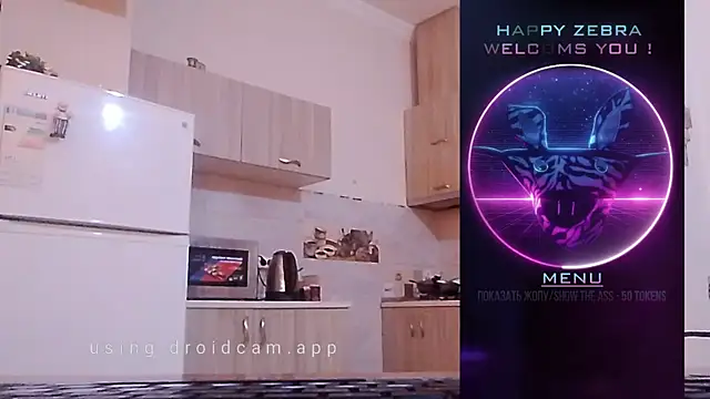 Snapshot of HappyZebra13 chatting on December 12, 9:08 am HappyZebra13 online show from December 12, 9:08 am