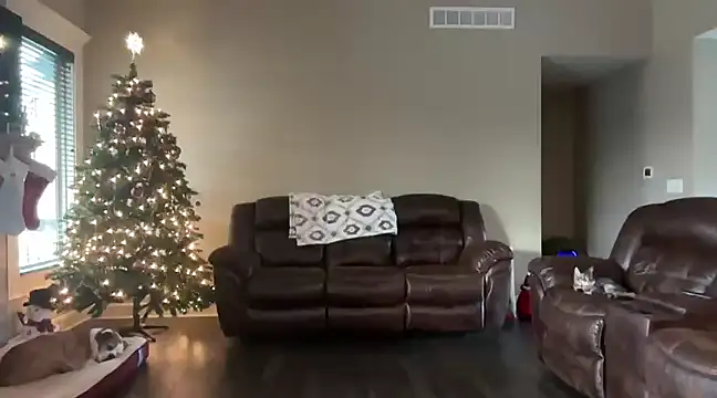 Snapshot of yourstrulylivy69 chatting on December 13, 2:38 pm yourstrulylivy69 online show from December 13, 2:38 pm