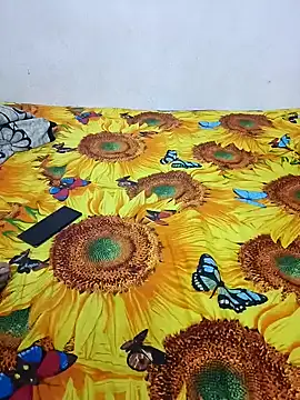 bhavanitelu online show from December 28, 11:30 am