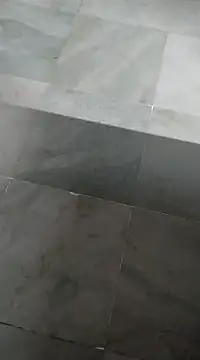 bhavanitelu online show from March 12, 9:44 am