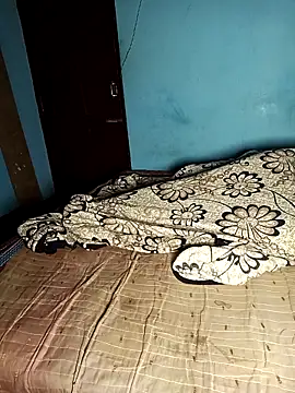 bhavanitelu online show from November 26, 3:29 am