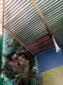 Snapshot of thamygomezz chatting on September 9, 4:39 pm thamygomezz online show from September 9, 4:39 pm