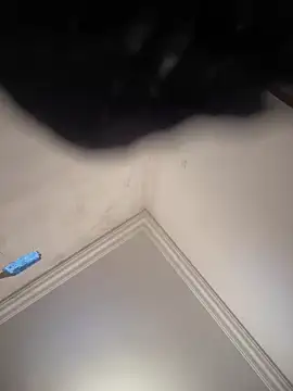 Snapshot of hot_girl_dina chatting on February 8, 11:01 am hot girl dina online show from February 8, 11:01 am