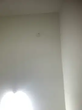Snapshot of bidex002 chatting on May 15, 11:34 pm bidex002 online show from May 15, 11:34 pm