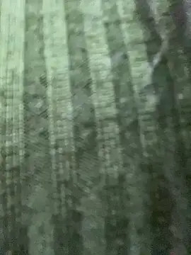 Rosita forever  online show from February 24, 4:15 pm