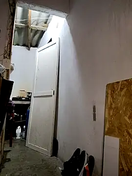 gatoalex89 online show from February 19, 3:06 am