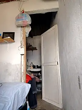 gatoalex89 online show from January 9, 5:37 pm