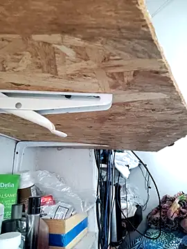 gatoalex89 online show from April 8, 10:21 pm