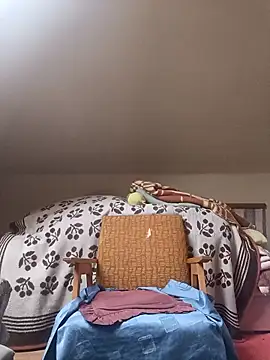 danitomii online show from March 31, 6:25 am