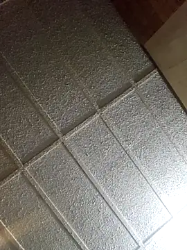 zaneporter46 online show from February 16, 2:21 pm