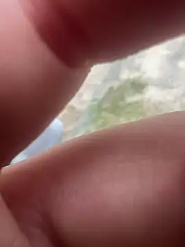 Casadadelicia26 online show from March 19, 7:18 pm