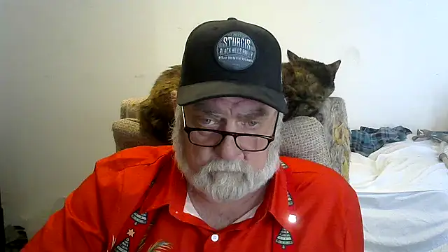 viejo oso online show from December 14, 10:36 pm