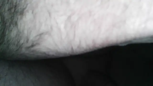 henry county couple2 online show from April 30, 4:41 am
