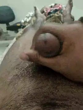 Snapshot of chinchi chatting on February 17, 11:34 am chinchi online show from February 17, 11:34 am